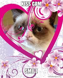 Kiss Cam Smile Grumpy Cat Valentines Day Make A Meme