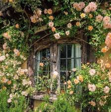 Fruhlingsgefuhle Vkontakte In 2020 Cottage In The Woods Dream Cottage Cottage