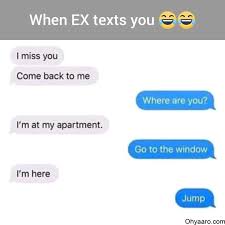 Funny jokes in hindi for whatsapp gf bf quotes images status wings. Girlfriend Boyfriend Funny Conversation Whatsapp Funny Pic