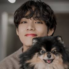Taehyung With Yeontan Icons Like Or Reblog If Di 2020 Binatang Hewan Anjing