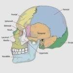 Location Of Headache Meaning Why Its Important To Know