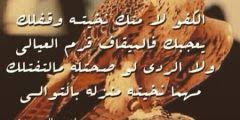 شعر فصيح في المدح والثناء مفهرس