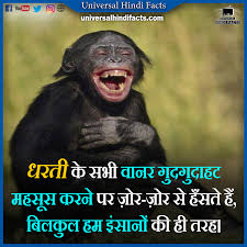 Interesting Facts About Animals In Hindi Amazing Facts About Animals In Hindi Weird Facts In Hindi In 2020 Fun Facts About Animals Funny Animals Happy Animals