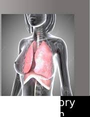 Bioflix Activity Gas Exchange Oxygen Transport Answer Correct Chapter 13 Multiple Choice Part I Question 24 Part A The Course Hero