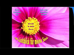 Lebensfreude Und Glucks Spruche Youtube