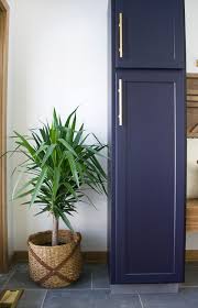 Pin On Navy Kitchens
