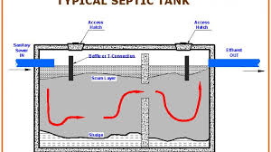 If you have questions about your garbage disposal and/or septic unit, feel free to leave those in the comments section below and we'll do our. Best Way To Maintain Your Septic System Nj Plumbing Repair Replacement And Maintenance