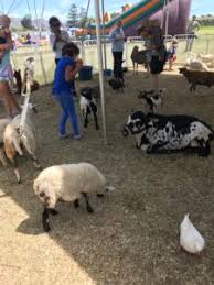 Welcome to thorni ridge exotics., the top premiere kansas city petting zoo. Fairs Giddy Up Ranch