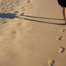 How long does it take to become a college professor? How To Become A College Professor In India Toughnickel