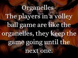 More images for animal cell analogy volleyball » Cell Analogy Volleyball Game Rebecca By Angela