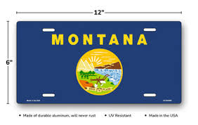 Understanding the Montana LLC Vehicle Loophole for International Road Trips