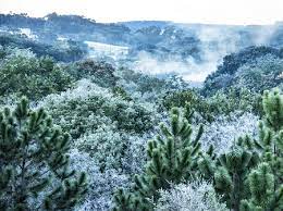 Hoje vai ser um dia em que as temperaturas máximas não devem aumentar muito, ficando em torno de 10 a 13°c, explica o meteorologista cezar duquia. Frio No Sul Tera Neve No Rs E Em Sc Com Minimas De 6Âºc E 8 C