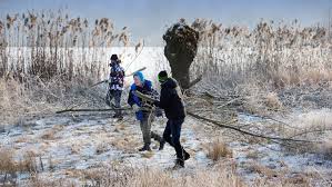 Der fotografische blick durch das spektiv zeigt einen vogel, der sein nest bewacht. Wernauer Baggerseen Lebensraum Fur Seltene Und Weniger Seltene Vogel Landkreis Esslingen Stuttgarter Zeitung
