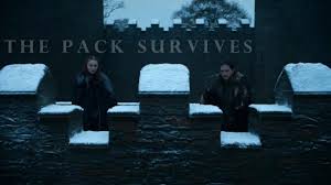 Maybe you would like to learn more about one of these? Got The Lone Wolf Dies But The Pack Survives Youtube
