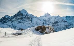 Check spelling or type a new query. Winterwandern In Den Schweizer Bergen In Der Jungfrau Region