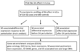 Flow Chart Of The Study Design Sz Schizophrenia Gwas