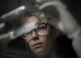 Tracy Weller: Credits, Bio, News & More