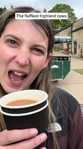 Highland Cows of The Peak Experience