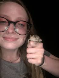 To determine the sex of a toad or frog, what method is most effective?