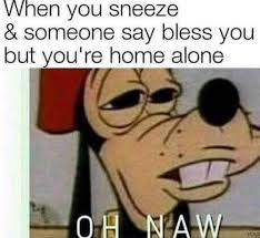 15 Animal Blades To Happily Scroll Through When Bored I Can Has Chee Memes Really Funny Memes Memes Stupid Funny Memes