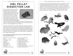 owl pellet dissection lab owl brand discovery kits