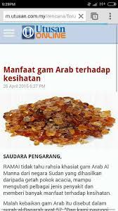 Memperbanyakkan bakteria baik(probiotik) di dalam usus. Gam Arab Getah Arab Arabic Gum Al Manna Acacia Gum Luban Kemenyan Arab Arabic Gum Powder Oktober 2017