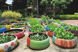 Many garden vegetables can be grown in containers or raised beds. How To Start A Vegetable Garden Using Old Tires
