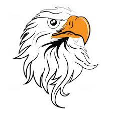 Golden Egeal Illustration Icon Design Eagle Head Eagle