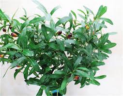 Maybe you would like to learn more about one of these? Artificial Greenery Leaf Garlands Olive Branch With Berries Faux10 Stems For Outdoor Decor Vanrina