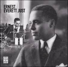 Ernest Everett Just: The First Black Marine Biologist Ernest Everett Just  born
