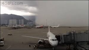 Black rainstorm is totally the thing from the neverending story that eats imagination. Black Rainstorm Conditions At Hong Kong Airport Hong Kong International Airport Best Funny Videos Best Funny Pictures