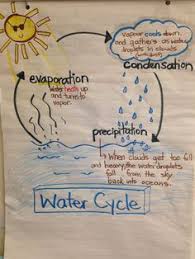 226 Best Science Anchor Charts Images Science Anchor