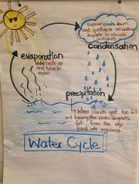 226 Best Science Anchor Charts Images Science Anchor