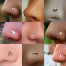 Diferentes Estilos De Pantallas Cute Nose Piercings Nose Piercing Jewelry Cute Piercings