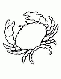 Mother would come out and say, you're tearing up the grass. Seashell Coloring Page Coloring Home