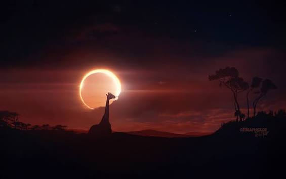 https://encrypted-tbn0.gstatic.com/images?q=tbn:ANd9GcQApYljQCUPzgLxcV5uhdCw7eLmiH3rGSVxKYb7NG7QrQ&s=10