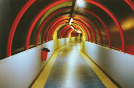 Bildergebnis für Duarte AMARAL NETTO