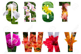 Many of these are easy to cultivate, grow and care. Flower Font Alphabet Q R S T V W X Z Made Of Real Alive Flowers Stock Photo Picture And Royalty Free Image Image 127576216