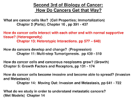 Cancer itch is one of those symptoms that cause worry in healthy people as well as patients undergoing treatment for an actual. Cancer Cell Heterogeneity Heterotypic Interactions In Tumors Ppt Download