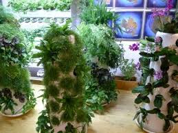 Vertical Garden Tube Vertical Garden Garden Plants