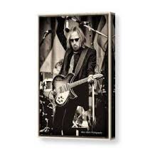 Amanda Shaw Canvas Print