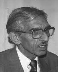 CHINAR SHADE : January 2023