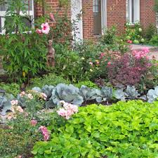 It impresses as well as greets the guests and visitors to your house. Maria S Lawn Be Gone Front Yard In Ontario Finegardening