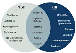 Concussion Mtbi And Ptsd Brainline