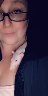 L is for the way I look at cheese O is for the only treat I see V is very,  very, tasty in my belly E is even more than any one