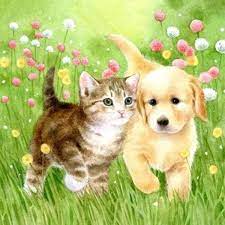 Funny animal pictures of the day 25 pics. 5d Diamond Painting Puppy And Kitten Kit Cat Art Animal Paintings Animal Art