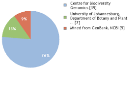 Image result for Ozoroa nitida