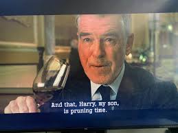 Filmed in Brighton: The Marine Girls, notably featuring Tracy Thorn