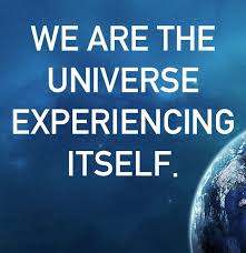 You are the universe experiencing itself quote. 33 Top Carl Sagan Quotes You Need To Know