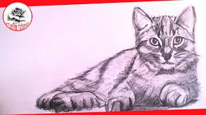 The wikihow video team also followed the article's instructions and verified that they work. How To Draw A Realistic Cat With Pencil Step By Step Drawing The Easy Way